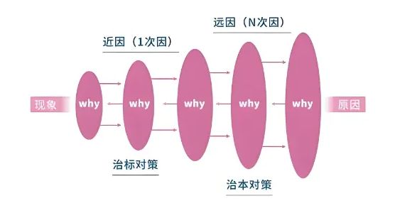 下载 (1).jpg